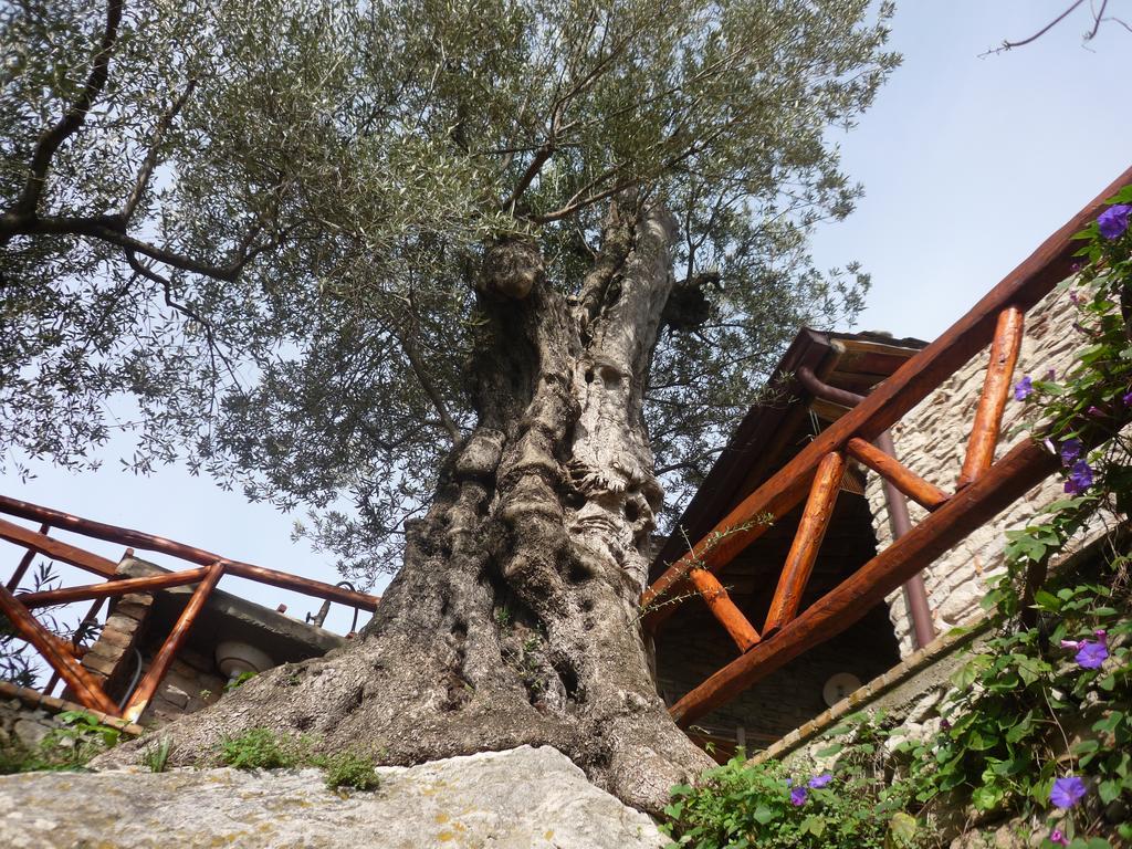 Rocca Del Vento Bed & Breakfast San Pantaleone Bagian luar foto