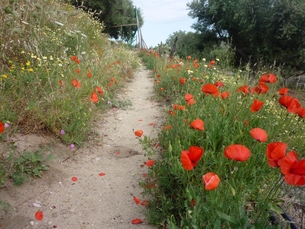 Rocca Del Vento Bed & Breakfast San Pantaleone Bagian luar foto
