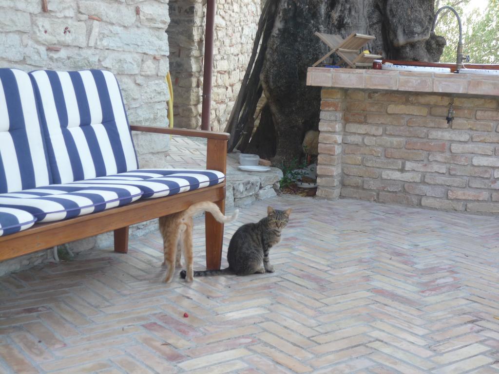 Rocca Del Vento Bed & Breakfast San Pantaleone Bagian luar foto